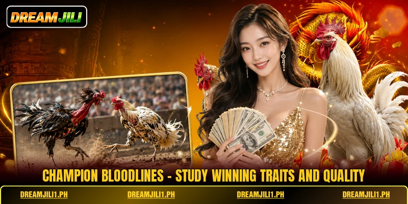 Champion Bloodlines - Study Winning Traits And Quality