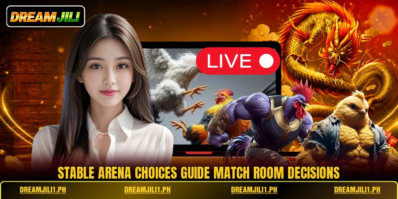 Stable arena choices guide match room decisions